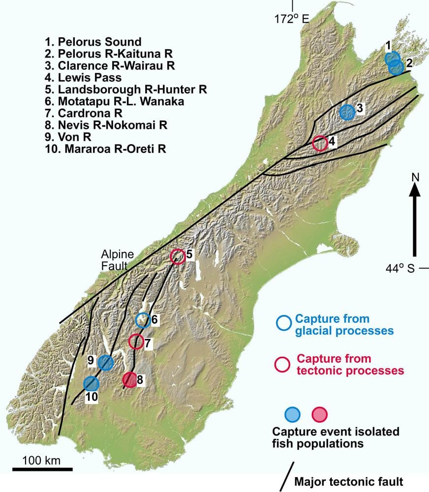 ਨਕਸ਼ਾ ਦੇ ਖੱਡ ਨਦੀ new zealand
