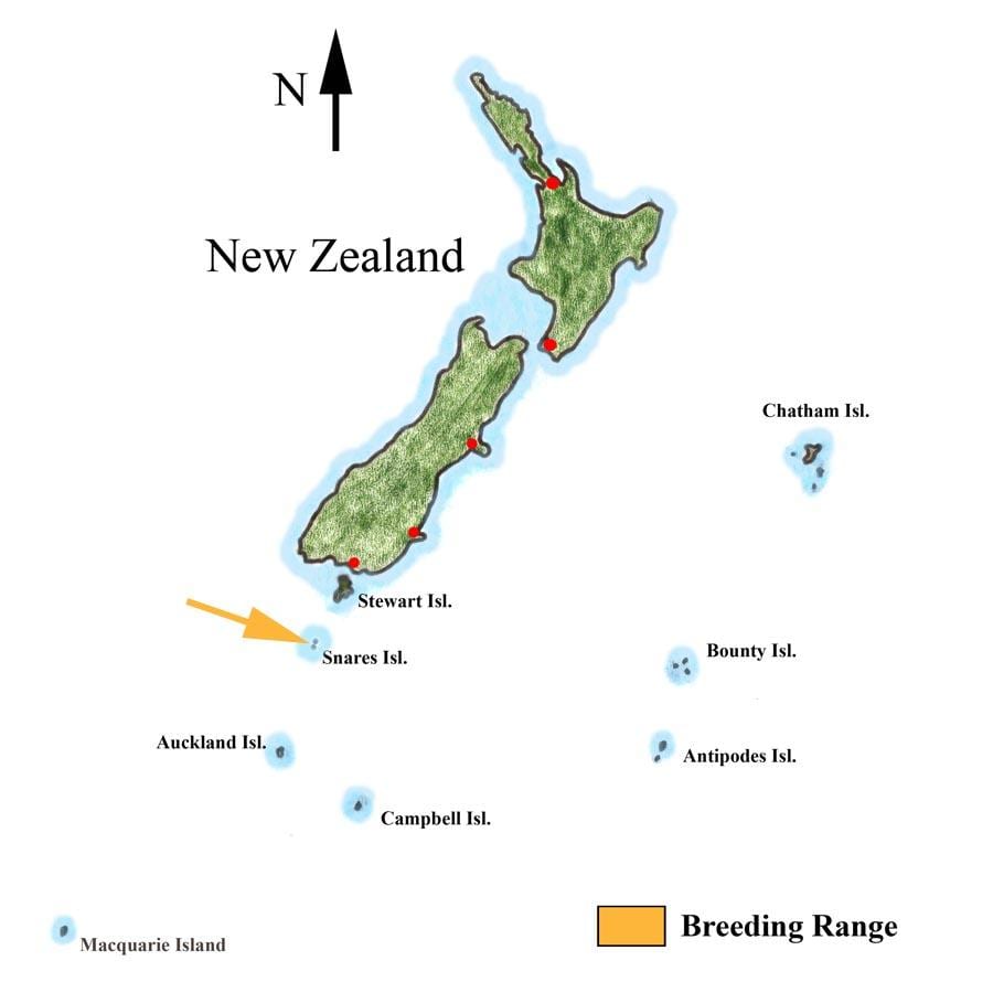 ਨਕਸ਼ਾ ਦੇ new zealand ਅਤੇ ਆਲੇ-ਦੁਆਲੇ ਦੇ ਟਾਪੂ